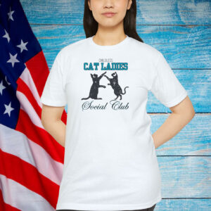 Childless Cat Lady Kamala Shirt, Kamala Harris President 2024 T-Shirt