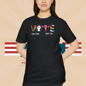 Vote Shirt, 2024 Election shirt, Reproductive Rights Gay rights Shirt