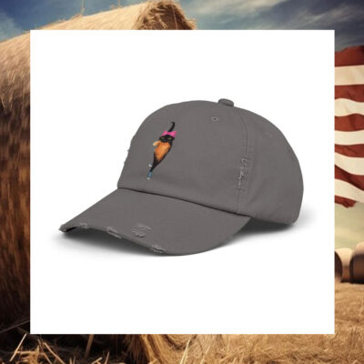 Cat Lady Election 2024 Distressed Cap