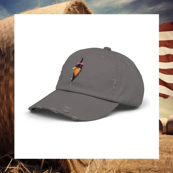 Cat Lady Election 2024 Distressed Cap