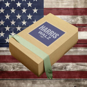 Harris Walz 24 Stickers Car Magnet