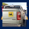I'll Tread Wherever I Want Car Magnet