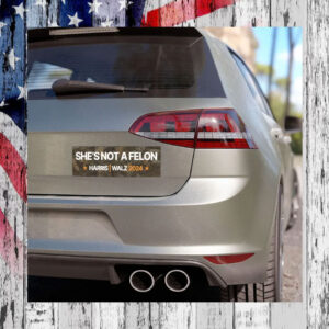 She's not a felon Car Magnet