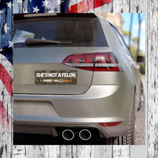 She's not a felon Car Magnet
