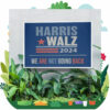 2024 Harris Walz We Are Not Going Back Yard Sign