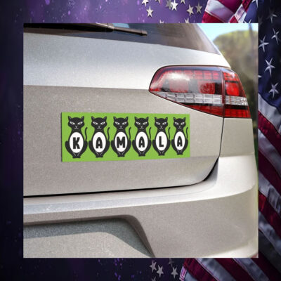 Cat Ladies For Kamala Democracy Car Magnet