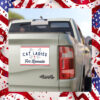 Cat Ladies For Kamala Democrat Car Magnet
