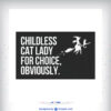 Childless Cat lady Kamala For Choice, Obviously Halloween Car Magnet