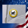 I Tread Wherever I Want Cat Ladies For Kamala Pin Button