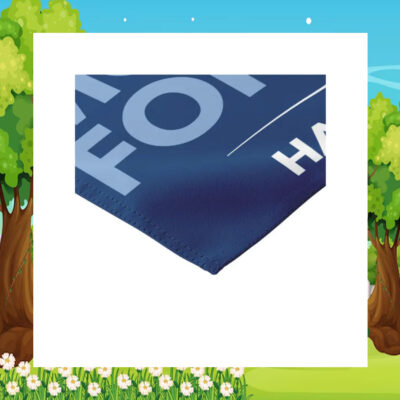 Reflect Vote Move Forward Harris Walz Flag