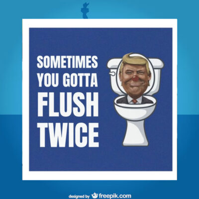 Sometimes You Gotta Flush Twice Car Magnets, Anti Trump Sticker