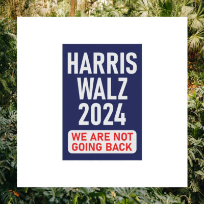 Harris Walz 24 We Are Not Going Back Flags
