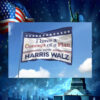 I have A Concept Of A Plan Vote Harris Walz House Flag
