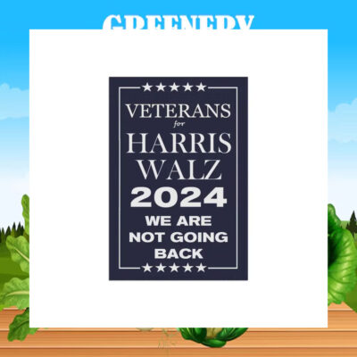 Veterans For Harris Walz 2024 We Are Not Going Back Election Flag
